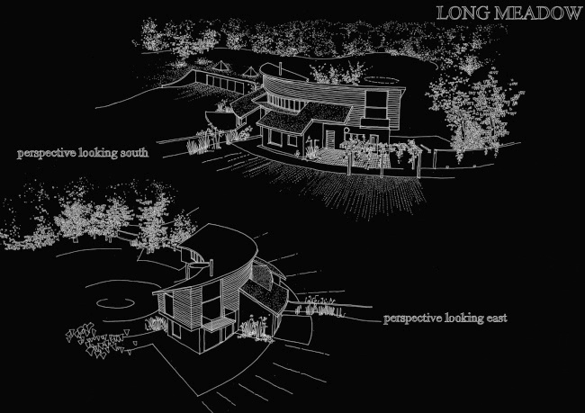 Long Meadow
